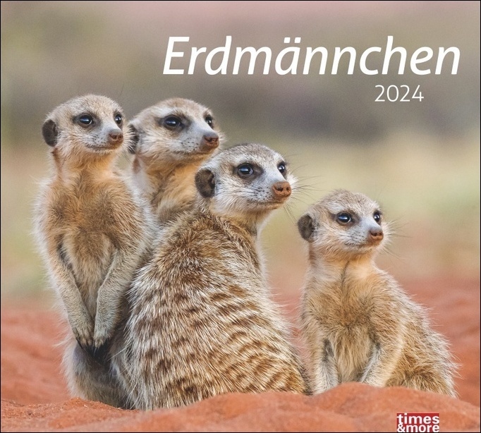 Cover: 9783756402090 | Erdmännchen Bildkalender 2024. Die süßen neugierigen Tiere toll...