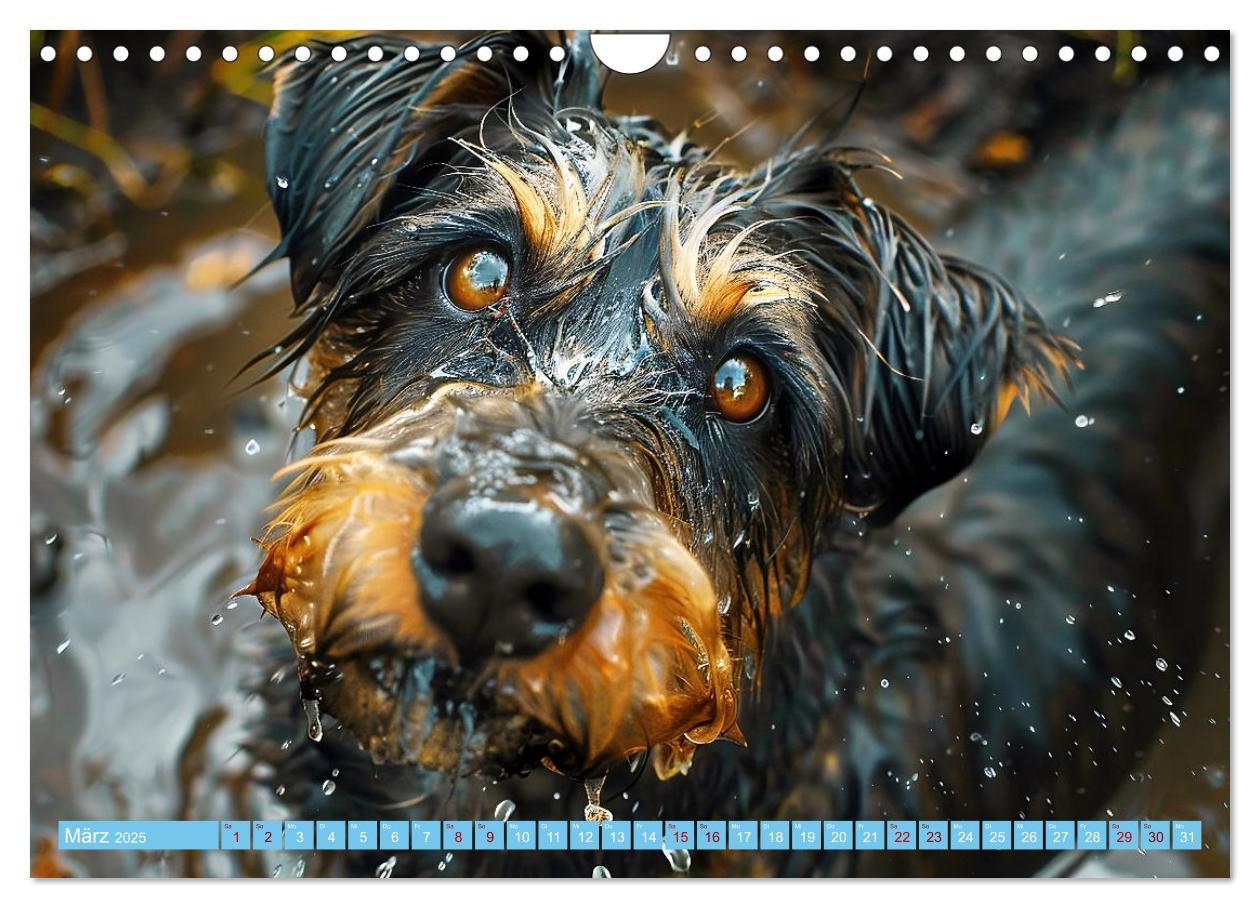 Bild: 9783457129227 | Hunde und Wasser (Wandkalender 2025 DIN A4 quer), CALVENDO...