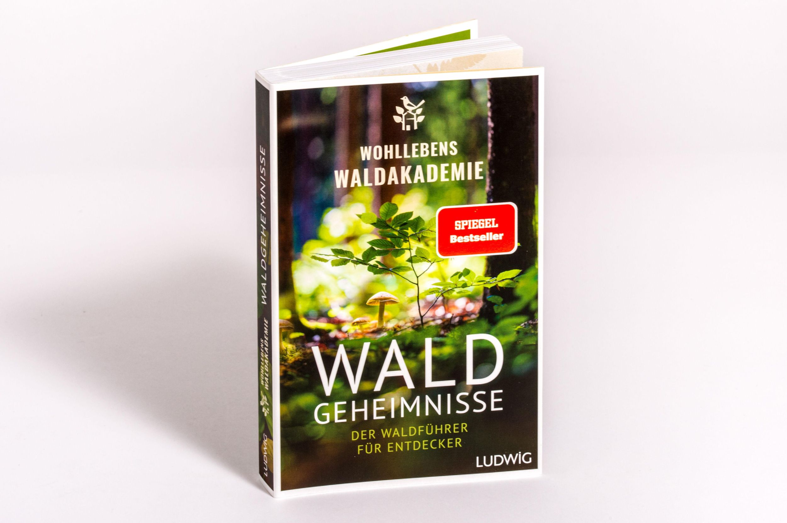 Bild: 9783453281615 | Waldgeheimnisse | Wohllebens Waldakademie | Taschenbuch | 320 S.