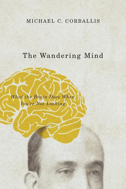Cover: 9780226418919 | The Wandering Mind: What the Brain Does When You're Not Looking | Buch