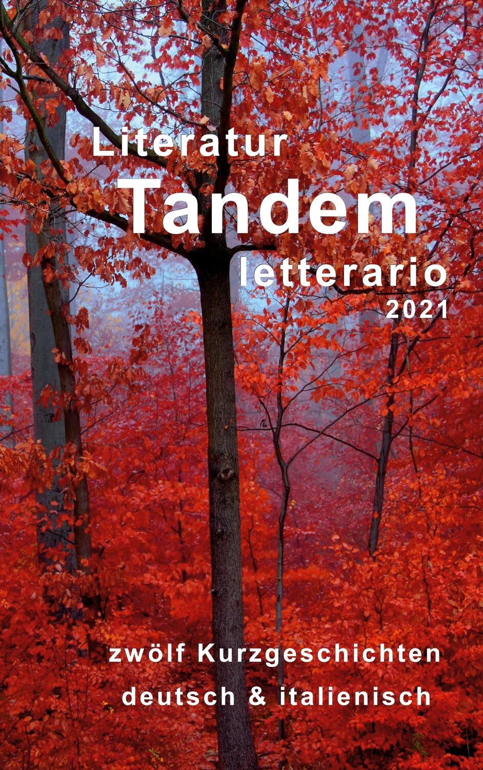 Cover: 9783753408903 | Literatur Tandem letterario -2021 | Stiftung Heimann | Taschenbuch