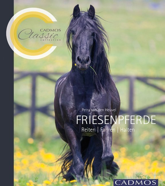 Cover: 9783840400308 | Friesenpferde | Reiten, Fahren, Halten | Petra van den Heuvel | Buch