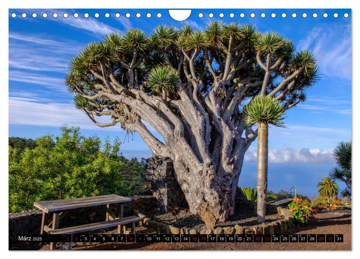 Bild: 9783435328413 | Natur pur erleben auf La Palma (Wandkalender 2025 DIN A4 quer),...