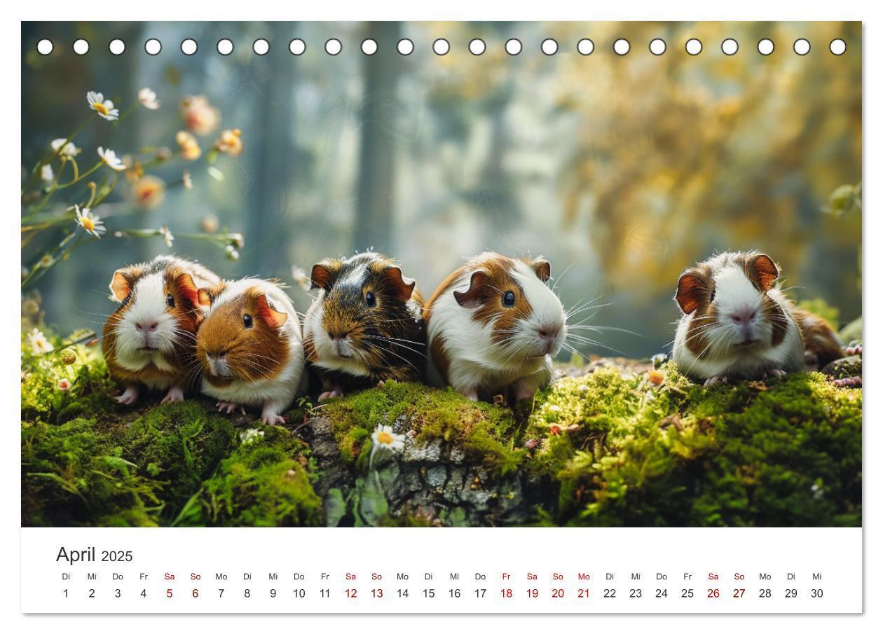 Bild: 9783383812378 | Wuschelbande - Ein Jahr voller Meerschweinchen (Tischkalender 2025...