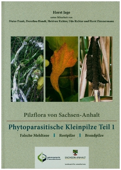 Cover: 9783942062466 | Pilzflora von Sachsen-Anhalt - Phytoparasitische Kleinpilze | Jage