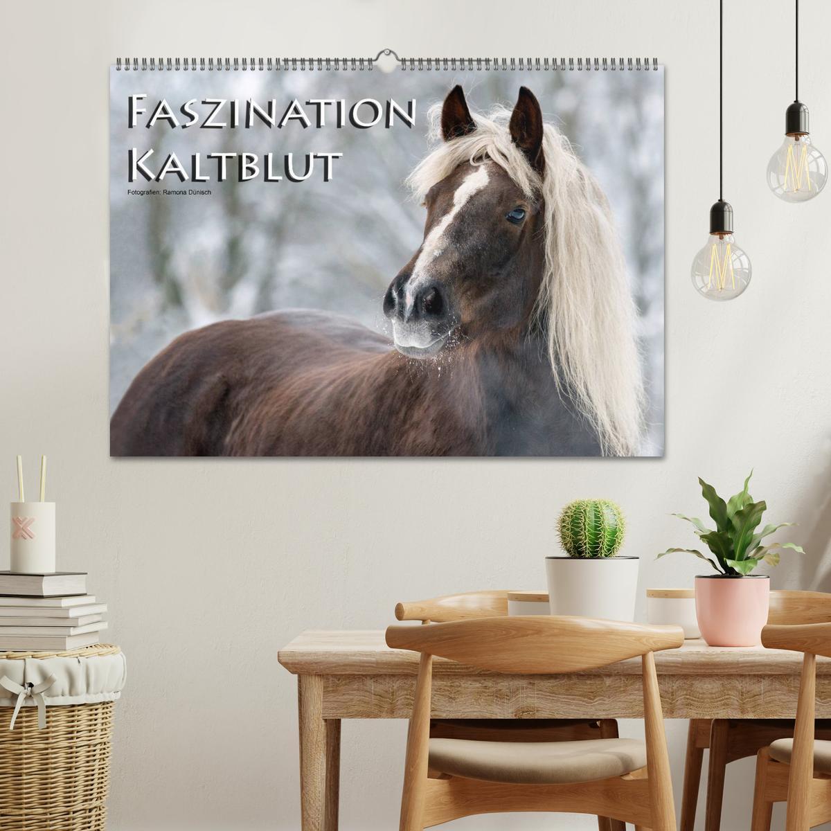 Bild: 9783435749591 | Faszination Kaltblut (Wandkalender 2025 DIN A2 quer), CALVENDO...