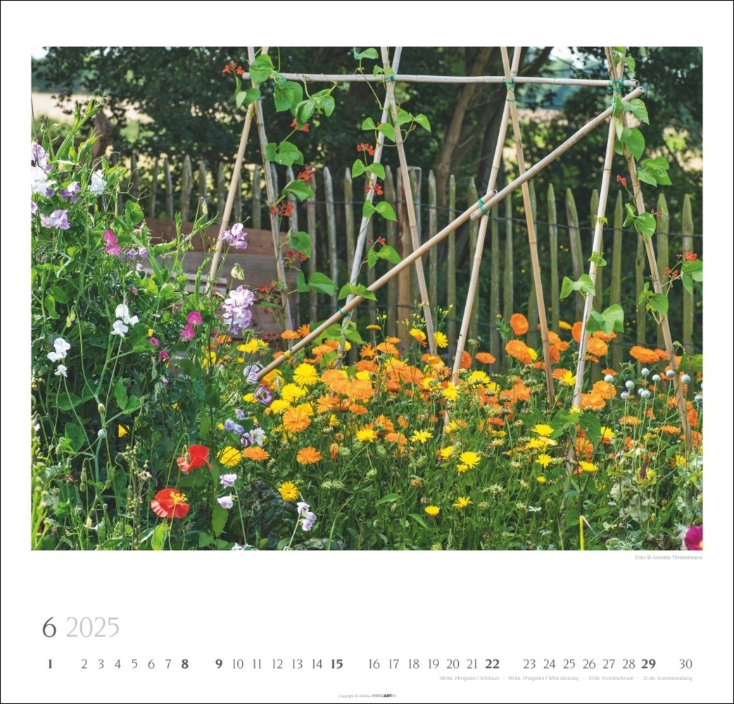 Bild: 9783839900260 | Bauerngärten Kalender 2025 | Annette Timmermann | Kalender | 14 S.