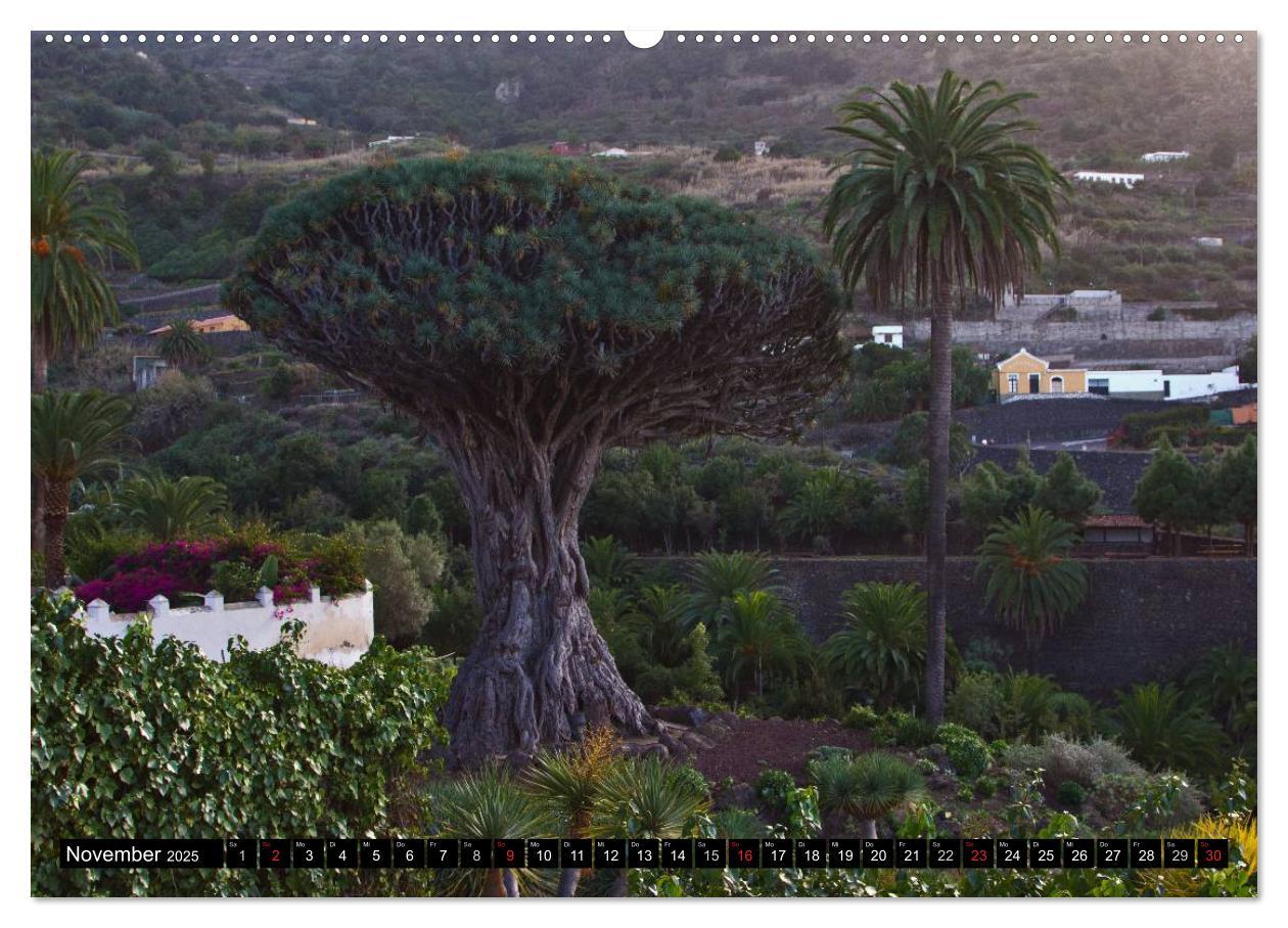 Bild: 9783435668823 | Teneriffa - Insel des ewigen Frühlings (Wandkalender 2025 DIN A2...