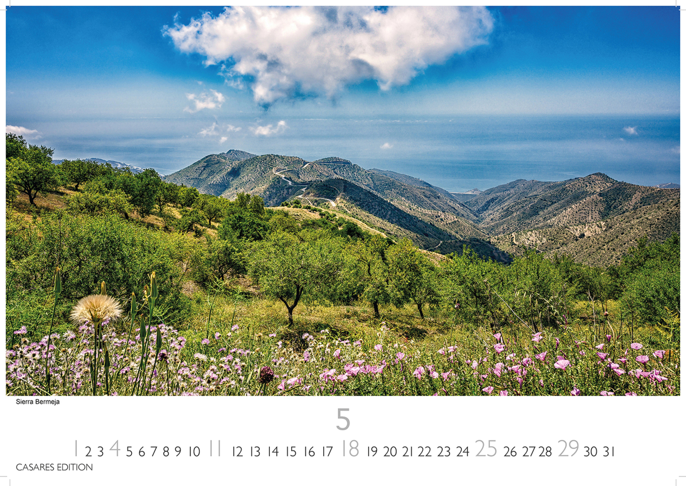 Bild: 9781835240328 | Spanien 2025 L 35x50cm | Kalender | 14 S. | Deutsch | 2025