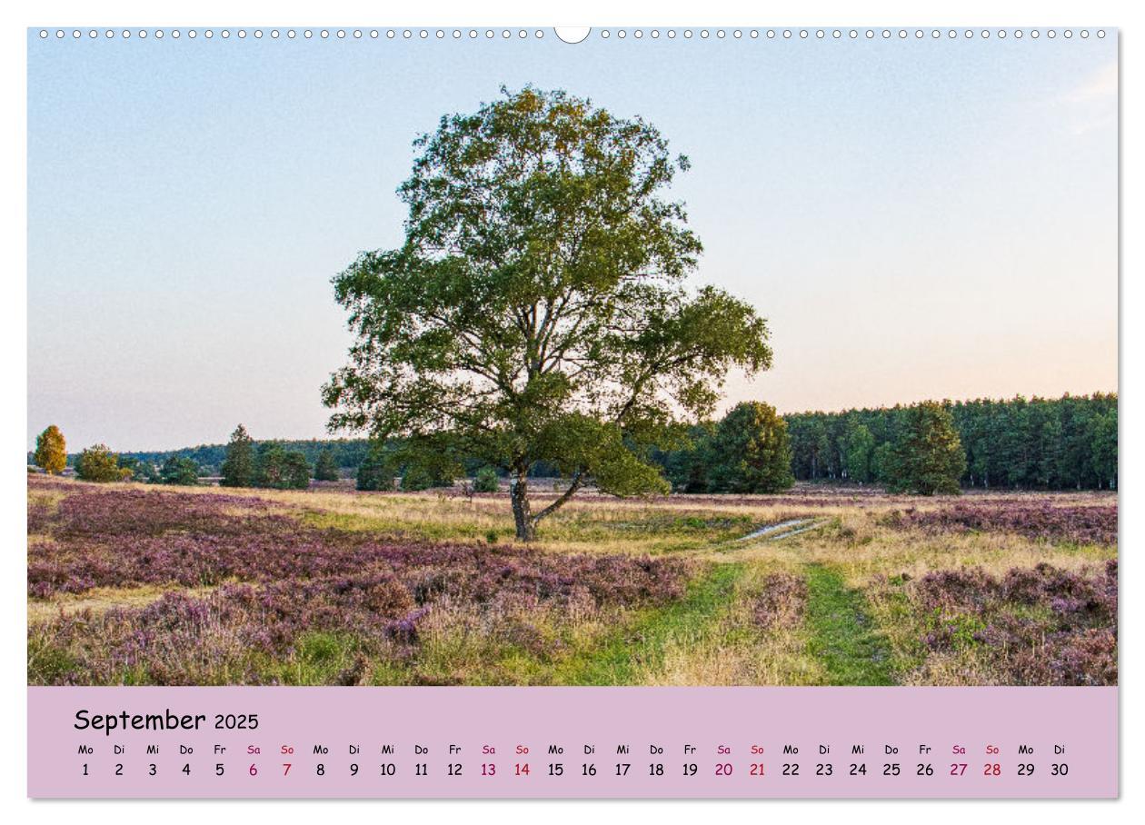 Bild: 9783435024810 | Lüneburger Heide Wege (hochwertiger Premium Wandkalender 2025 DIN...