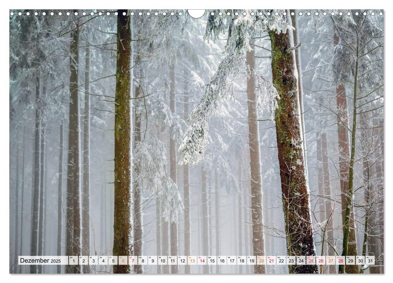 Bild: 9783435071623 | Wald - mystische Spaziergänge (Wandkalender 2025 DIN A3 quer),...