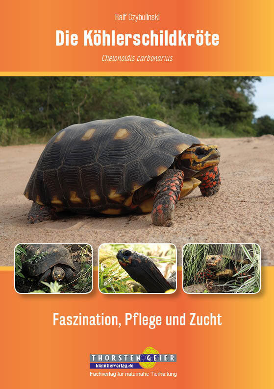 Cover: 9783944484051 | Die Köhlerschildkröte Chelonoidis carbonarius | Ralf Czybulinski