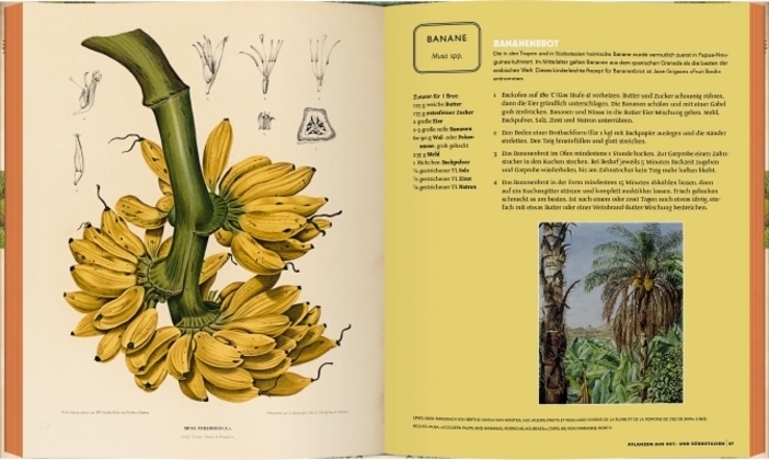 Bild: 9783836921305 | Kew Gardens - Das Kochbuch | Kew Gardens | Buch | 160 S. | Deutsch