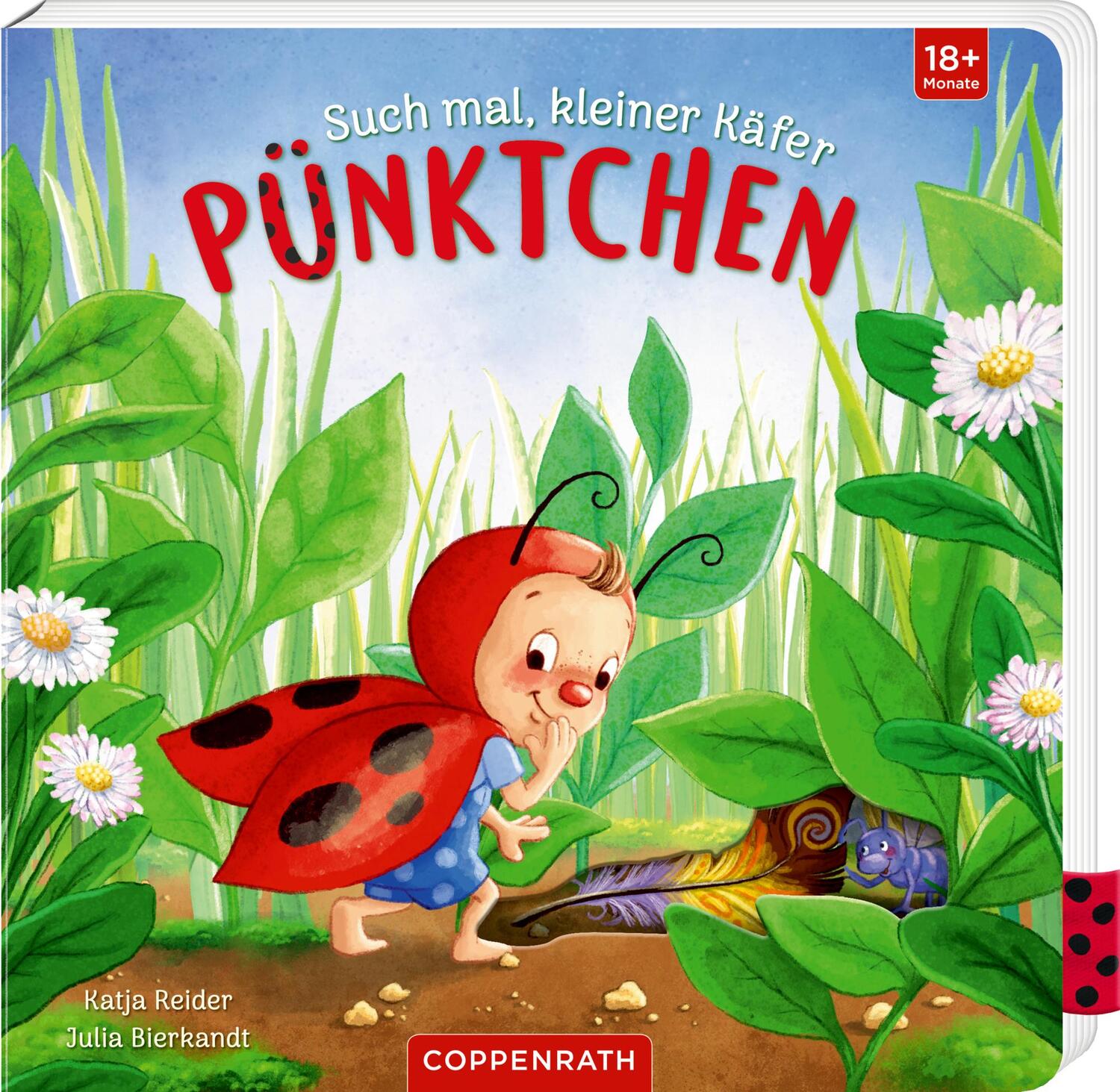 Cover: 9783649645290 | Such mal, kleiner Käfer Pünktchen | Katja Reider | Buch | Deutsch