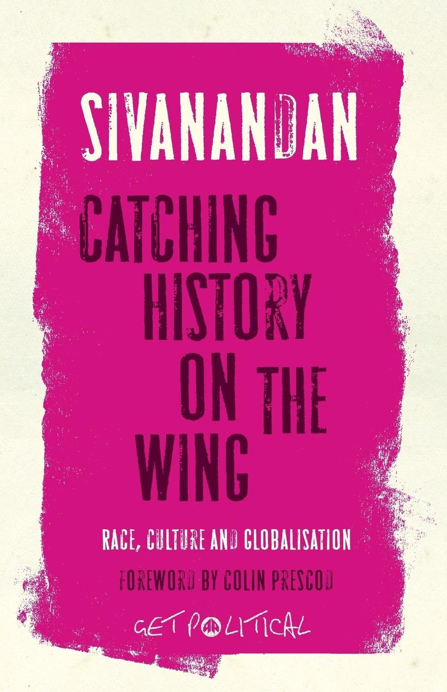 Cover: 9780745328348 | Catching History On The Wing | Race, Culture And Globalisation | Buch
