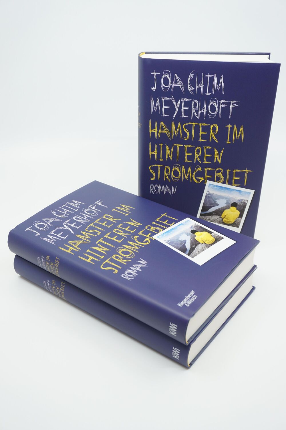 Bild: 9783462000245 | Hamster im hinteren Stromgebiet | Joachim Meyerhoff | Buch | 306 S.