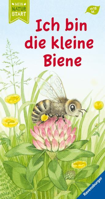 Cover: 9783473439805 | Ich bin die kleine Biene | Sandra Grimm | Buch | Naturstart | 16 S.
