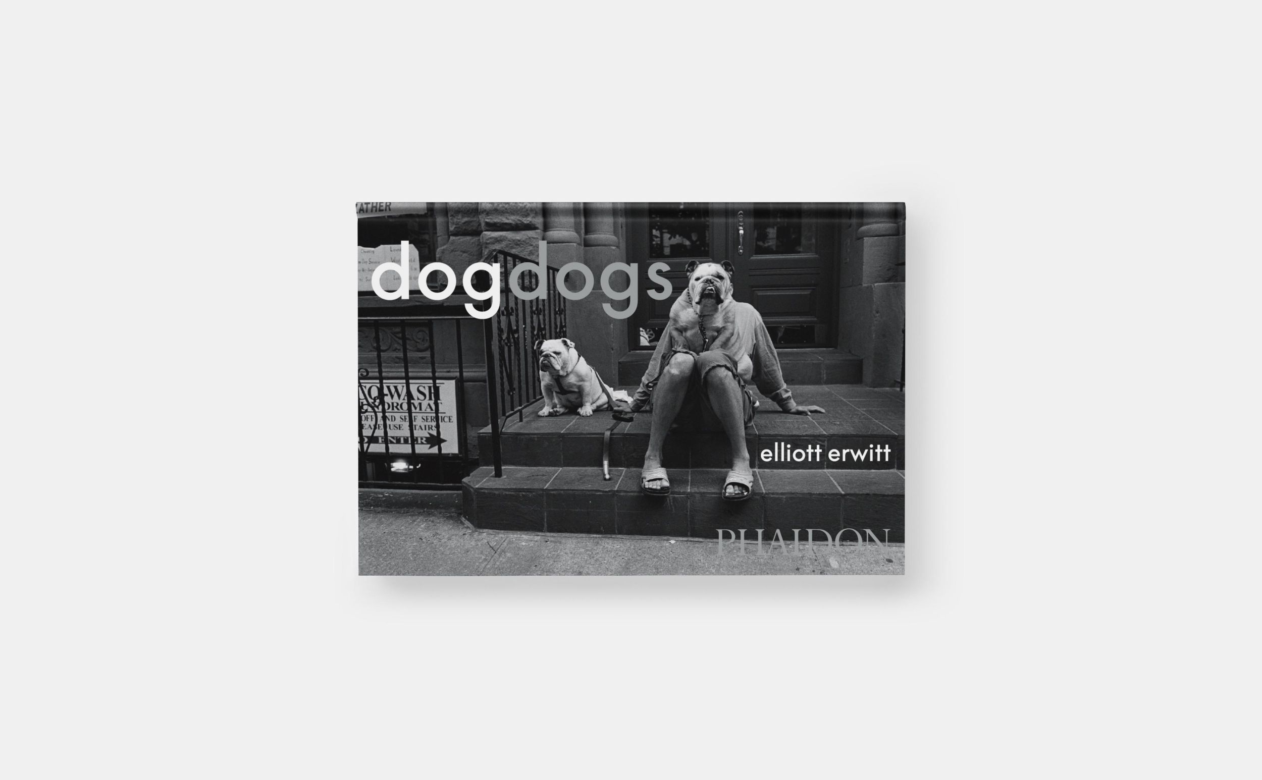 Bild: 9781838669256 | DogDogs | Elliott Erwitt | Buch | Phaidon Press | 512 S. | Englisch