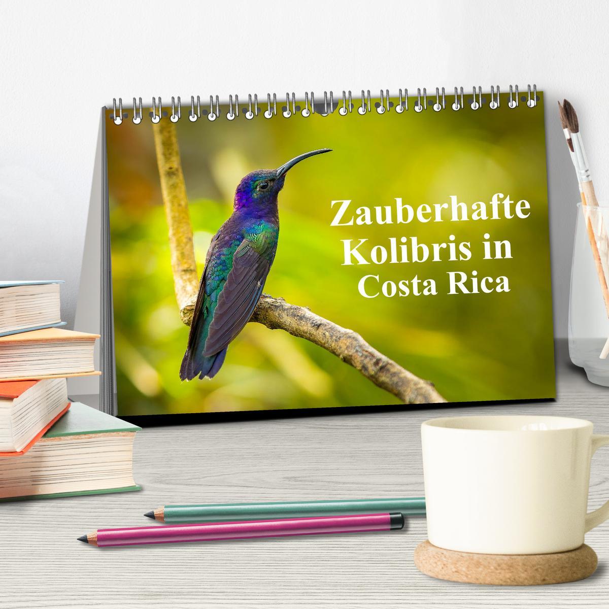 Bild: 9783383887109 | Zauberhafte Kolibris in Costa Rica (Tischkalender 2025 DIN A5...