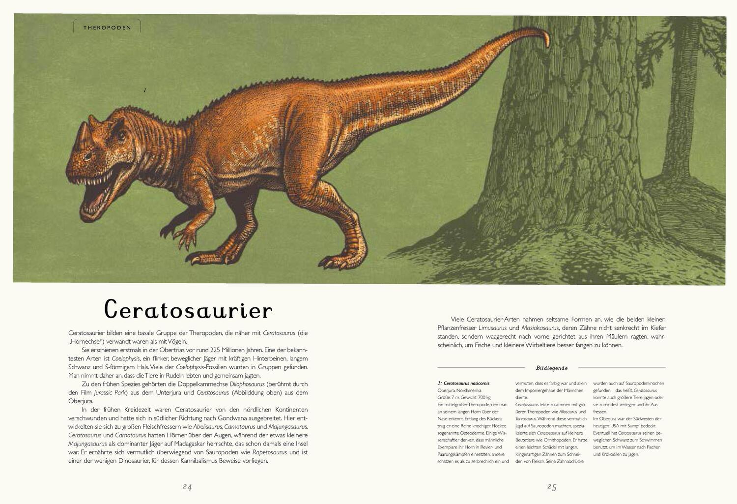 Bild: 9783791373034 | Das Museum der Dinosaurier | Eintritt frei! | Lily Murray (u. a.)