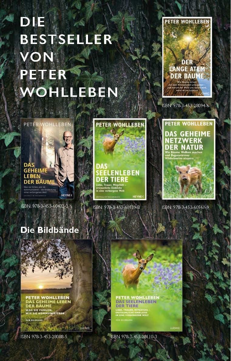 Bild: 9783453606203 | Das geheime Band zwischen Mensch und Natur | Peter Wohlleben | Buch