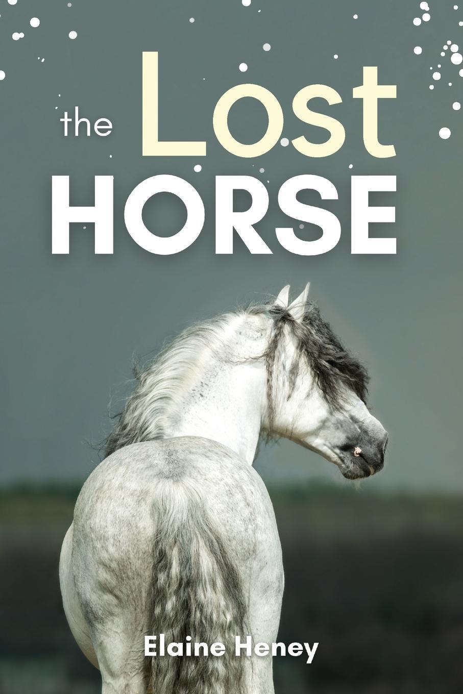 Cover: 9781915542113 | The Lost Horse - Book 6 in the Connemara Horse Adventure Series for...