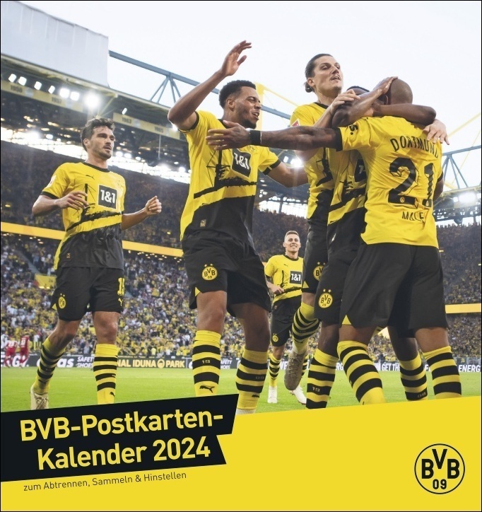 Cover: 9783756400782 | BVB Postkartenkalender 2024. Kleiner Kalender für große Fans: Die...