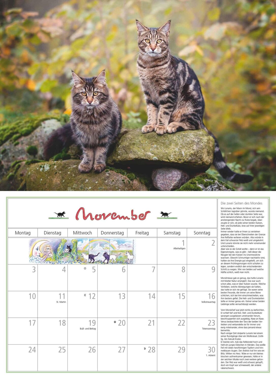 Bild: 4250809652412 | DUMONT - DUMONTS Katzenkalender 2025 Broschürenkalender, 42x29cm,...