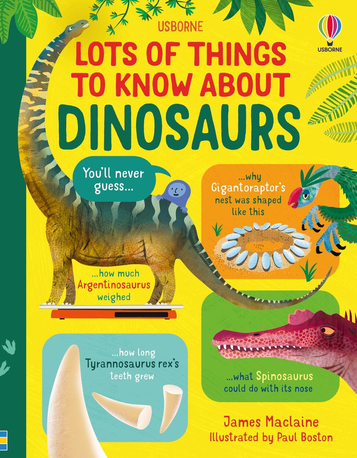 Cover: 9781803700298 | Lots of Things to Know About Dinosaurs | James Maclaine | Buch | 2023