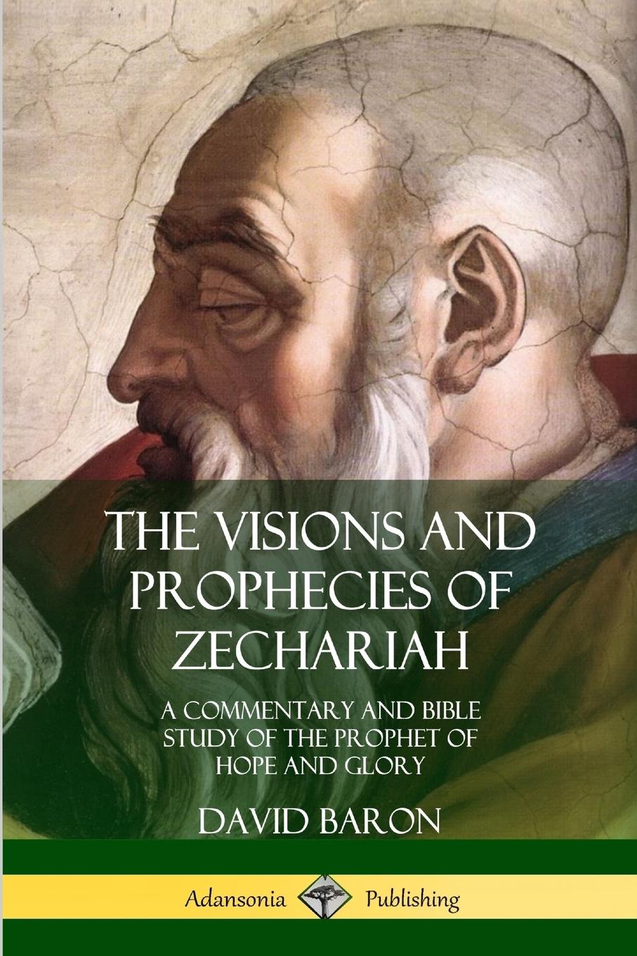 Cover: 9780359033966 | The Visions and Prophecies of Zechariah | David Baron | Taschenbuch