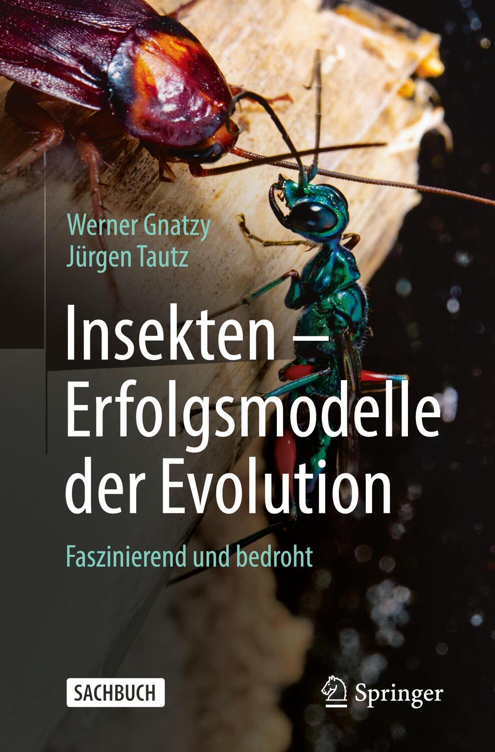 Cover: 9783662661376 | Insekten - Erfolgsmodelle der Evolution | Faszinierend und bedroht