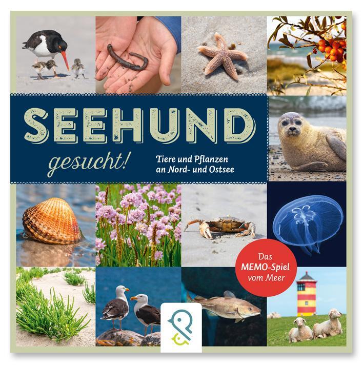 Cover: 4280001344099 | Seehund gesucht! | Das Memo-Spiel vom Meer | Bobby Kastenhuber | Buch