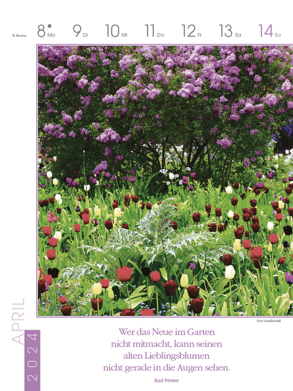 Bild: 9783731870166 | Literaturkalender Gartenlust 2024 | Korsch Verlag | Kalender | 54 S.