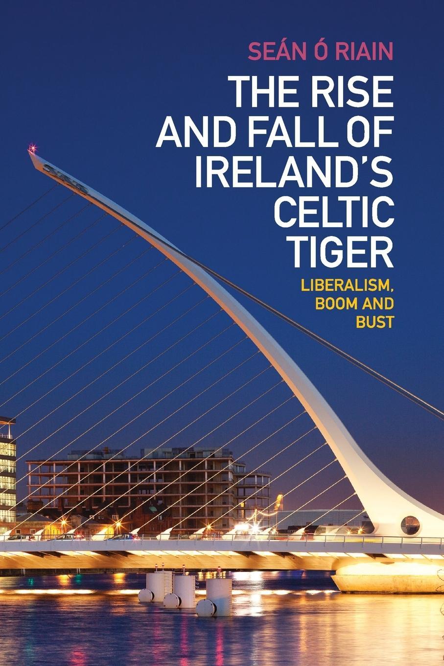 Cover: 9780521279055 | The Rise and Fall of Ireland's Celtic Tiger | Seán Ó Riain | Buch