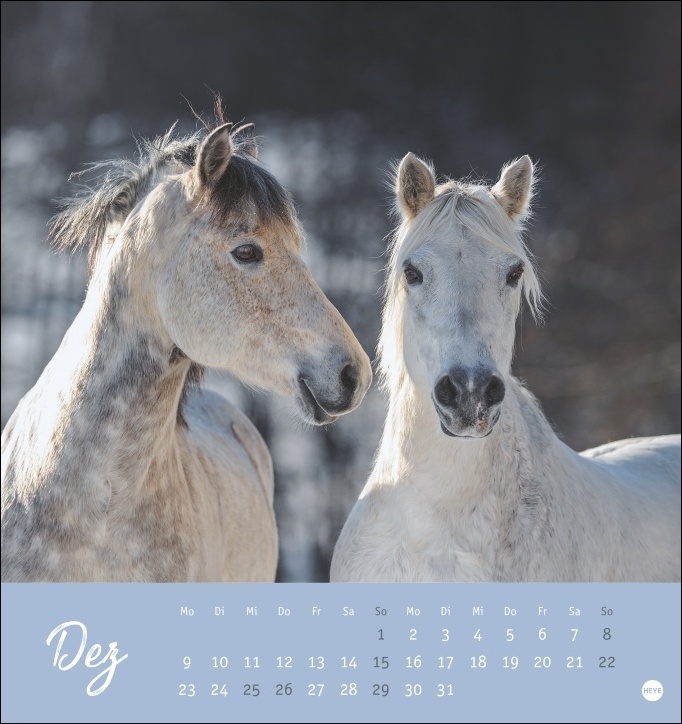 Bild: 9783756400409 | Pferde - Starke Freunde Postkartenkalender 2024. Pferdefotografin...