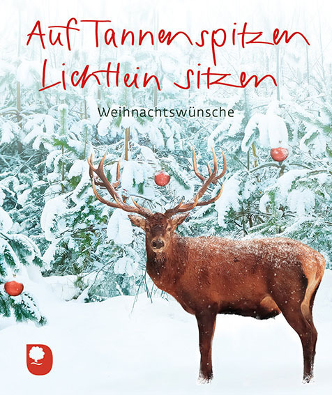 Cover: 9783869177489 | Auf Tannenspitzen Lichtlein sitzen | Weihnachtswünsche | Broschüre