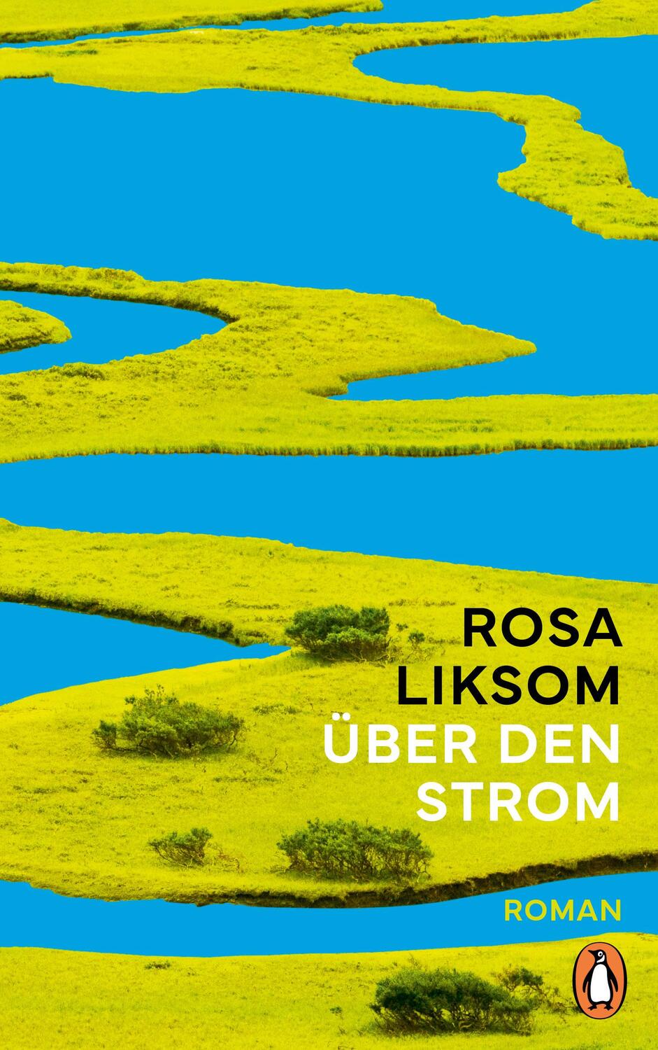 Cover: 9783328602637 | Über den Strom | Roman | Rosa Liksom | Buch | 304 S. | Deutsch | 2024