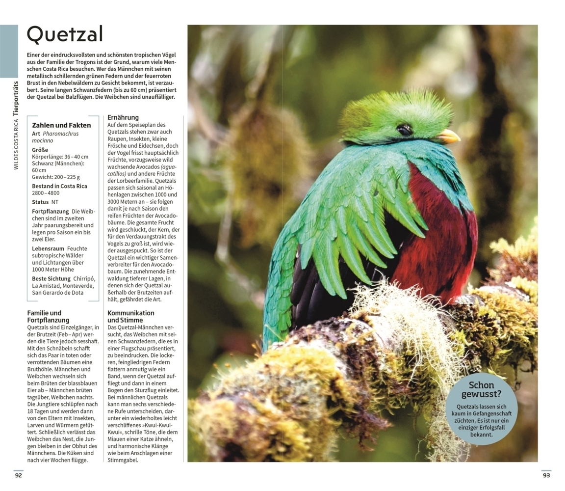 Bild: 9783734206870 | Vis-à-Vis Reiseführer Costa Rica | Mit über 40 Seiten Tierporträts