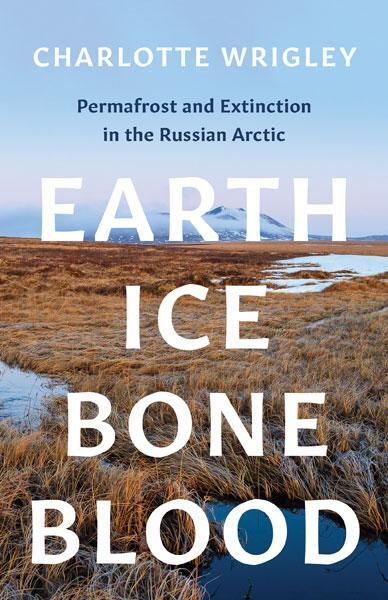 Cover: 9781517911829 | Earth, Ice, Bone, Blood | Charlotte Wrigley | Taschenbuch | Englisch