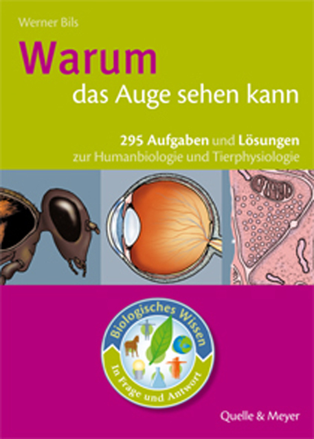 Cover: 9783494014616 | Warum das Auge sehen kann | Werner Bils | Taschenbuch | 2010
