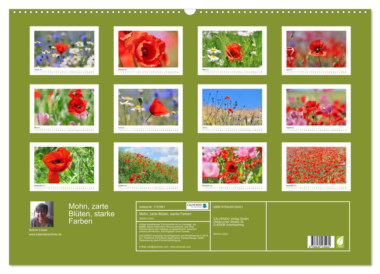 Bild: 9783435135431 | Mohn, zarte Blüten, starke Farben (Wandkalender 2025 DIN A2 quer),...