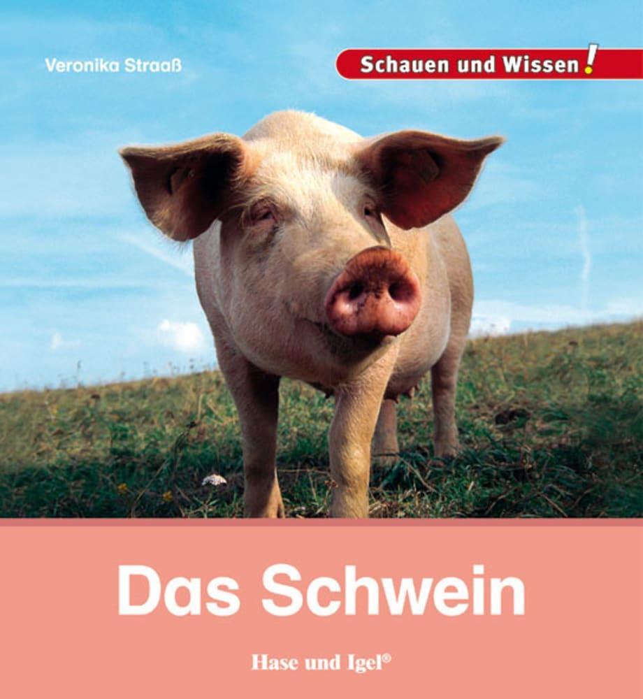 Cover: 9783867607858 | Das Schwein | Schauen und Wissen! | Veronika Straaß | Buch | 34 S.