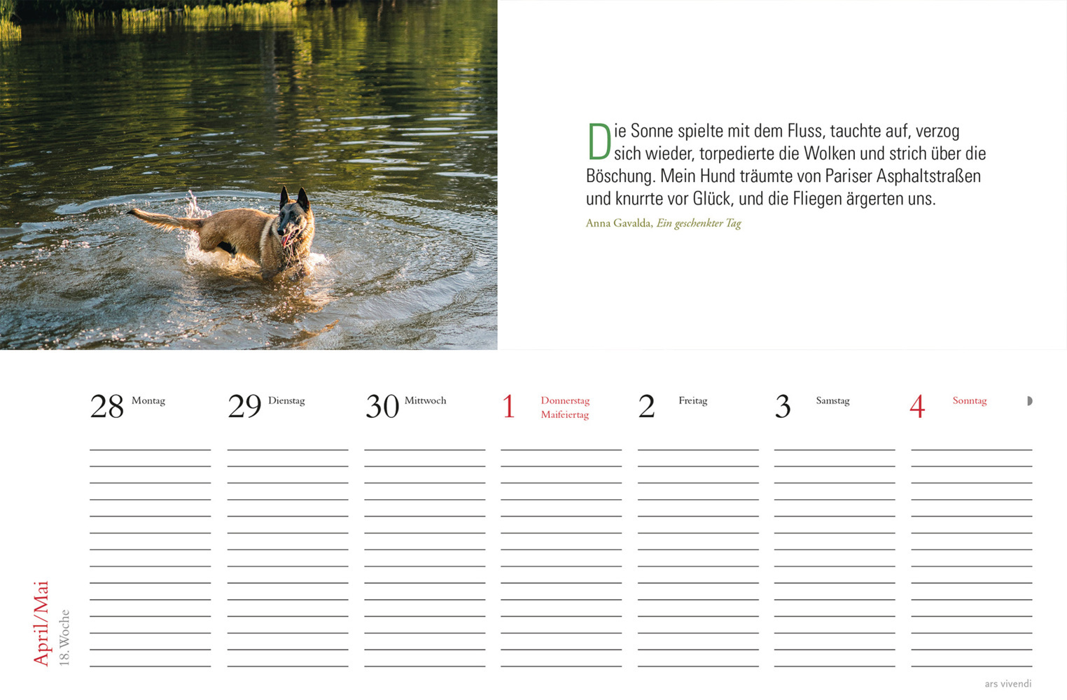 Bild: 9783747205709 | Tischkalender Hunde 2025 | Tischkalender | Kalender | 53 S. | Deutsch