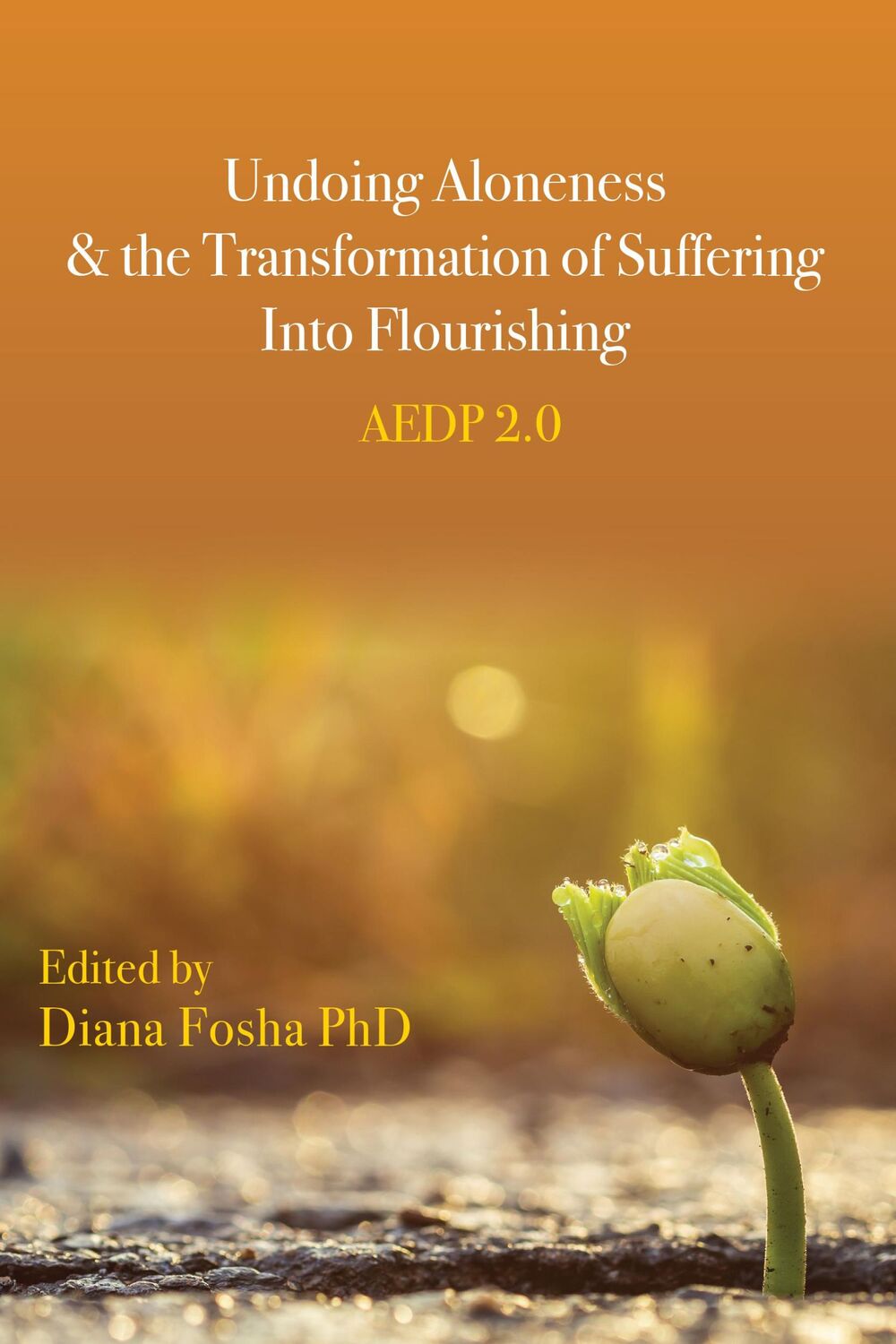 Cover: 9781433833960 | Undoing Aloneness and the Transformation of Suffering Into Flourishing