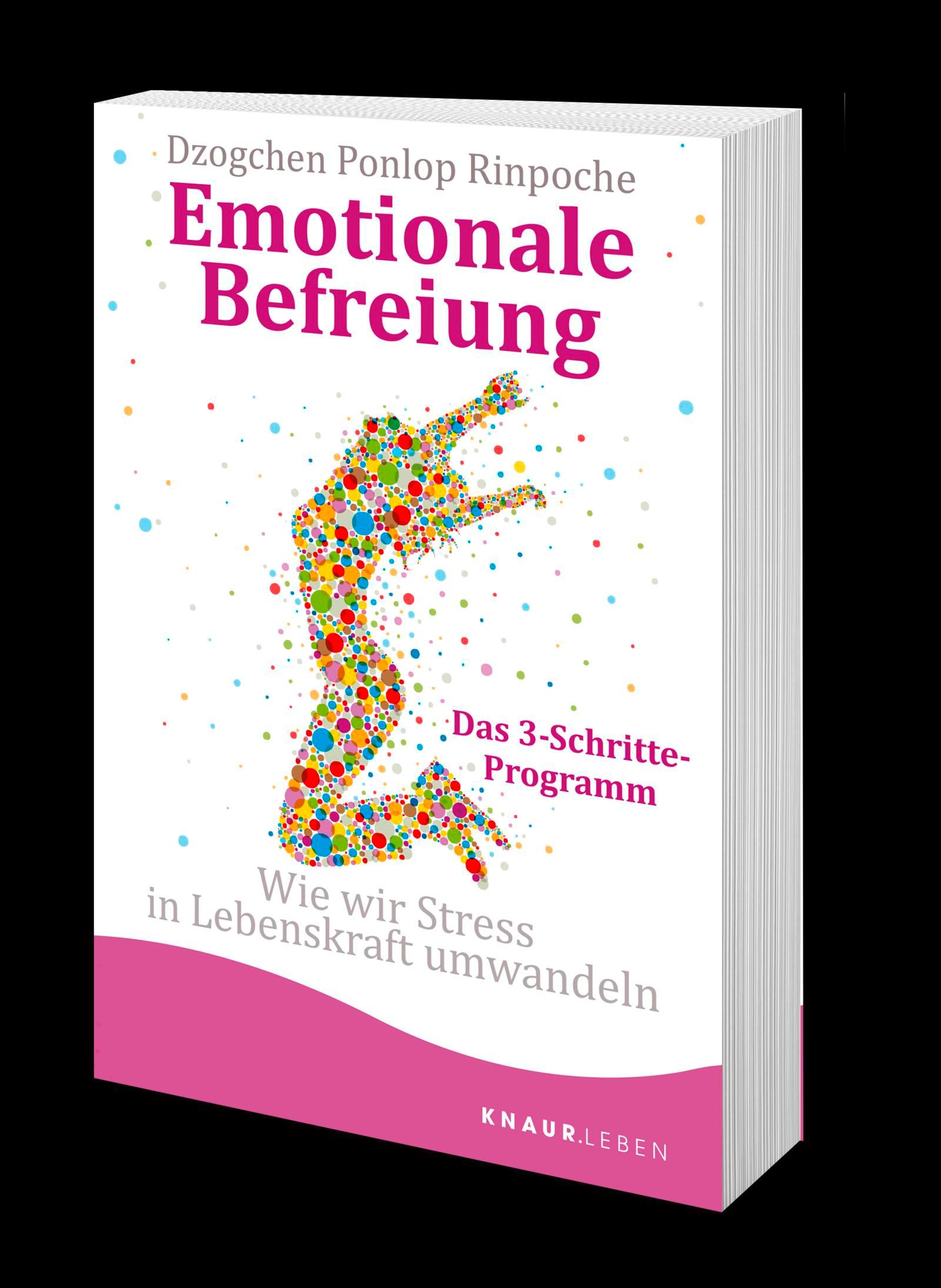 Bild: 9783426879153 | Emotionale Befreiung | Wie wir Stress in Lebenskraft umwandeln | Buch