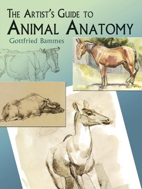 Cover: 9780486436401 | The Artist's Guide to Animal Anatomy | Gottfried Bammes | Taschenbuch