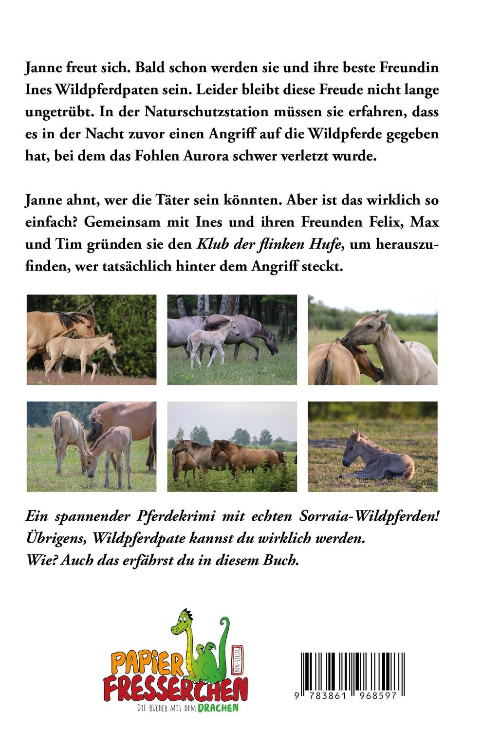 Rückseite: 9783960745303 | Die Wildpferdpaten | Janne &amp; Freunde Bd. 2 | Cornelia Dunker | Buch