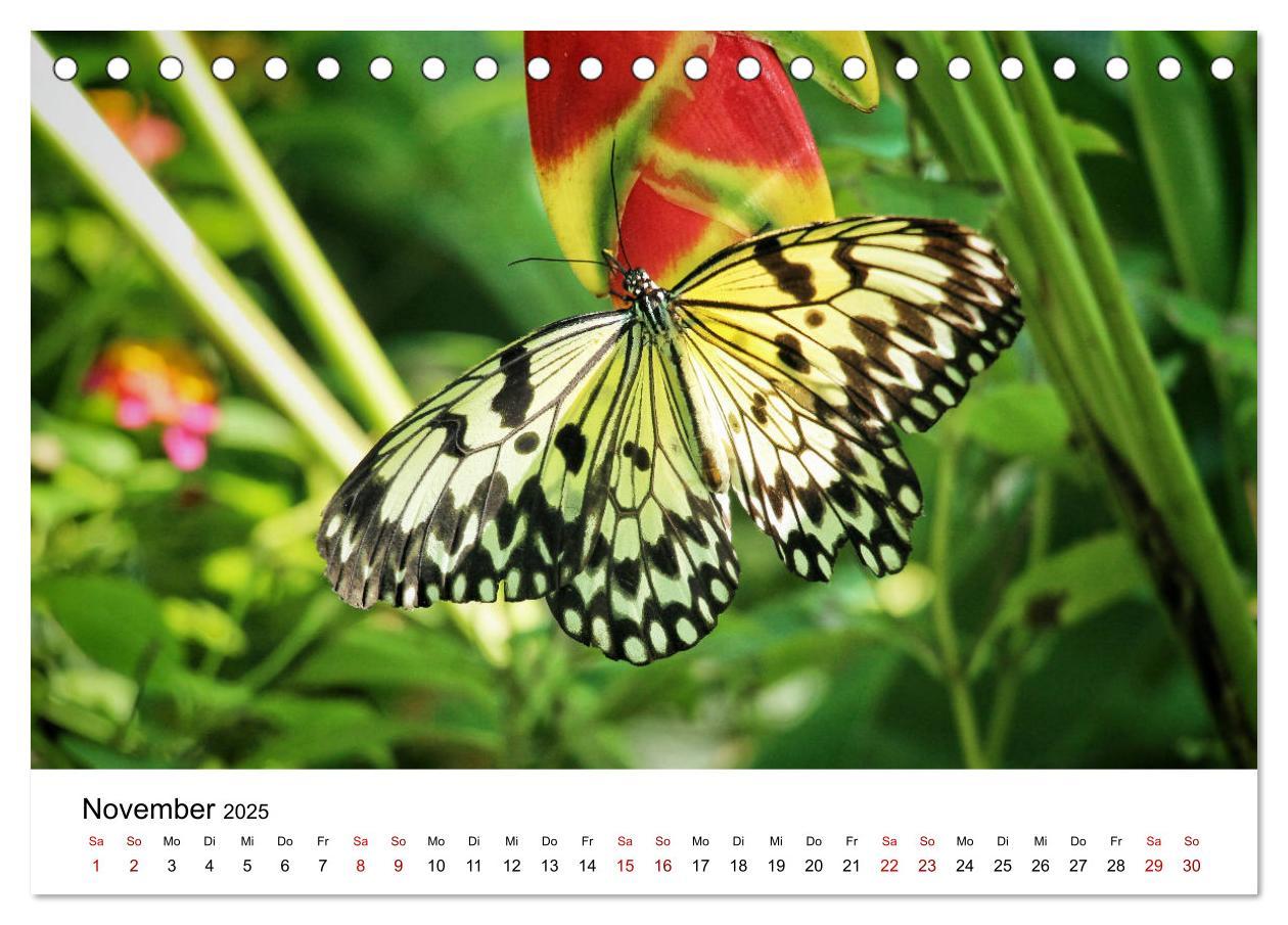 Bild: 9783435144754 | Philippinen - Faszinierende Inselwelten (Tischkalender 2025 DIN A5...