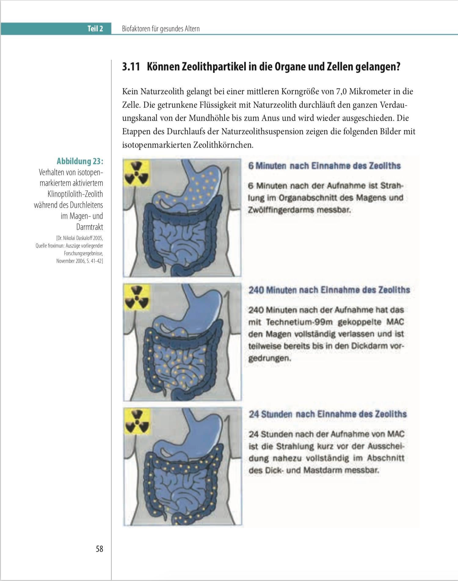 Bild: 9783887780678 | Biofaktoren für gesundes Altern | Karl Hecht | Taschenbuch | 164 S.