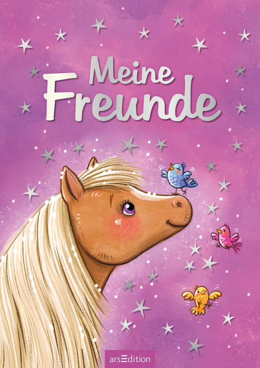 Bild: 4014489128069 | Meine Freunde - Zauberponys | Buch | 64 S. | Deutsch | 2022